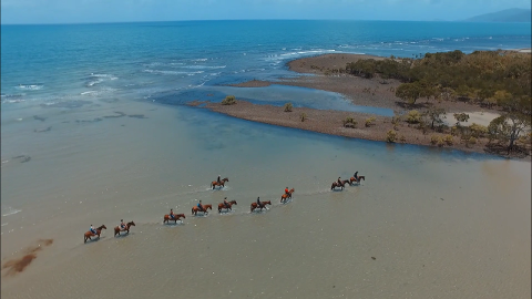 Morning Beach Ride