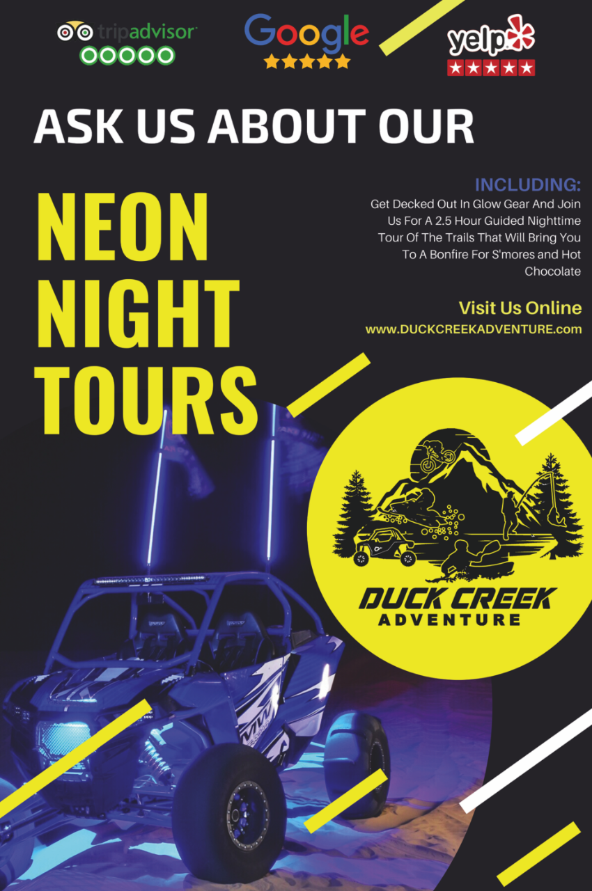 Neon Night Tour: RZR, Bonfire, S'mores, Glow Supplies (2.5 Hours)