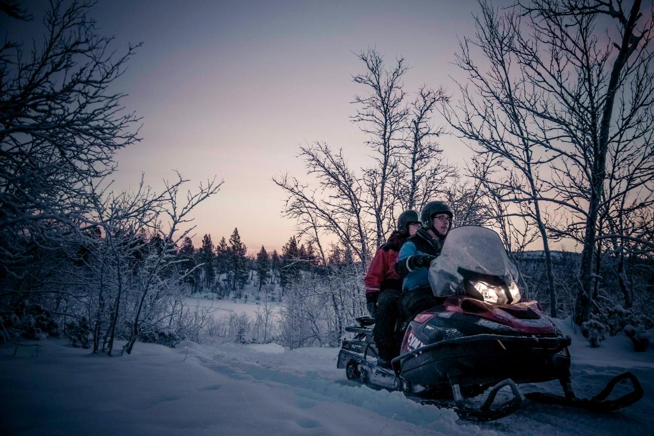 Snowmobile and moose views