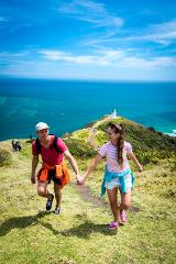 Cape Reinga and Ninety Mile Beach Tour With Lunch