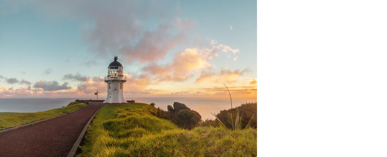 Six Day Guided Tour of Northland - Offered In Both German & English