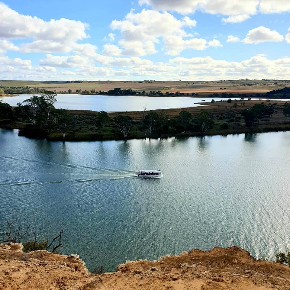 Dark Sky Gold Stars Sunset Dinner