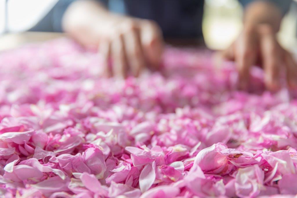 Jurlique VIP Tour & Spa