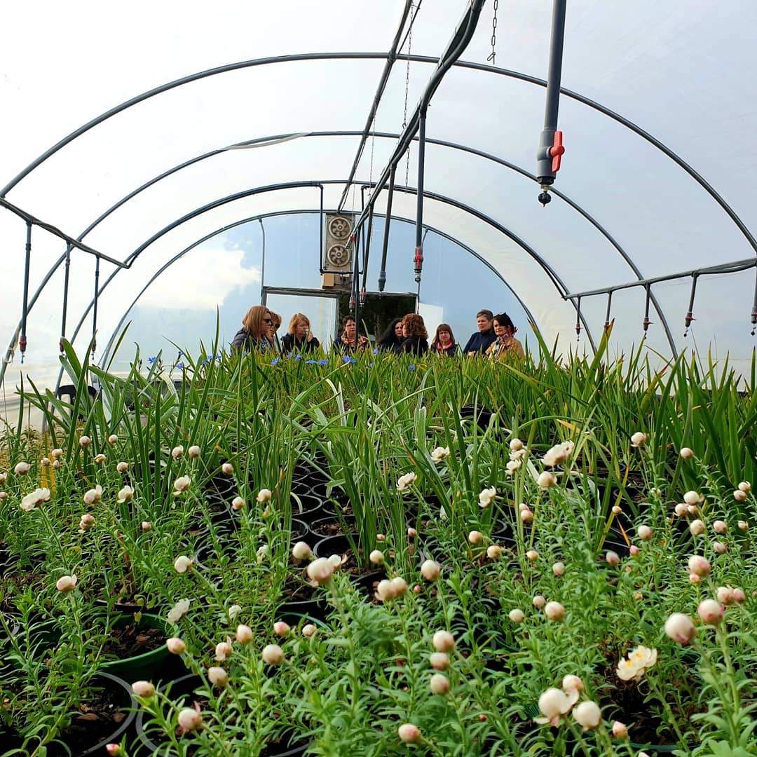 Jurlique VIP Tour & Spa