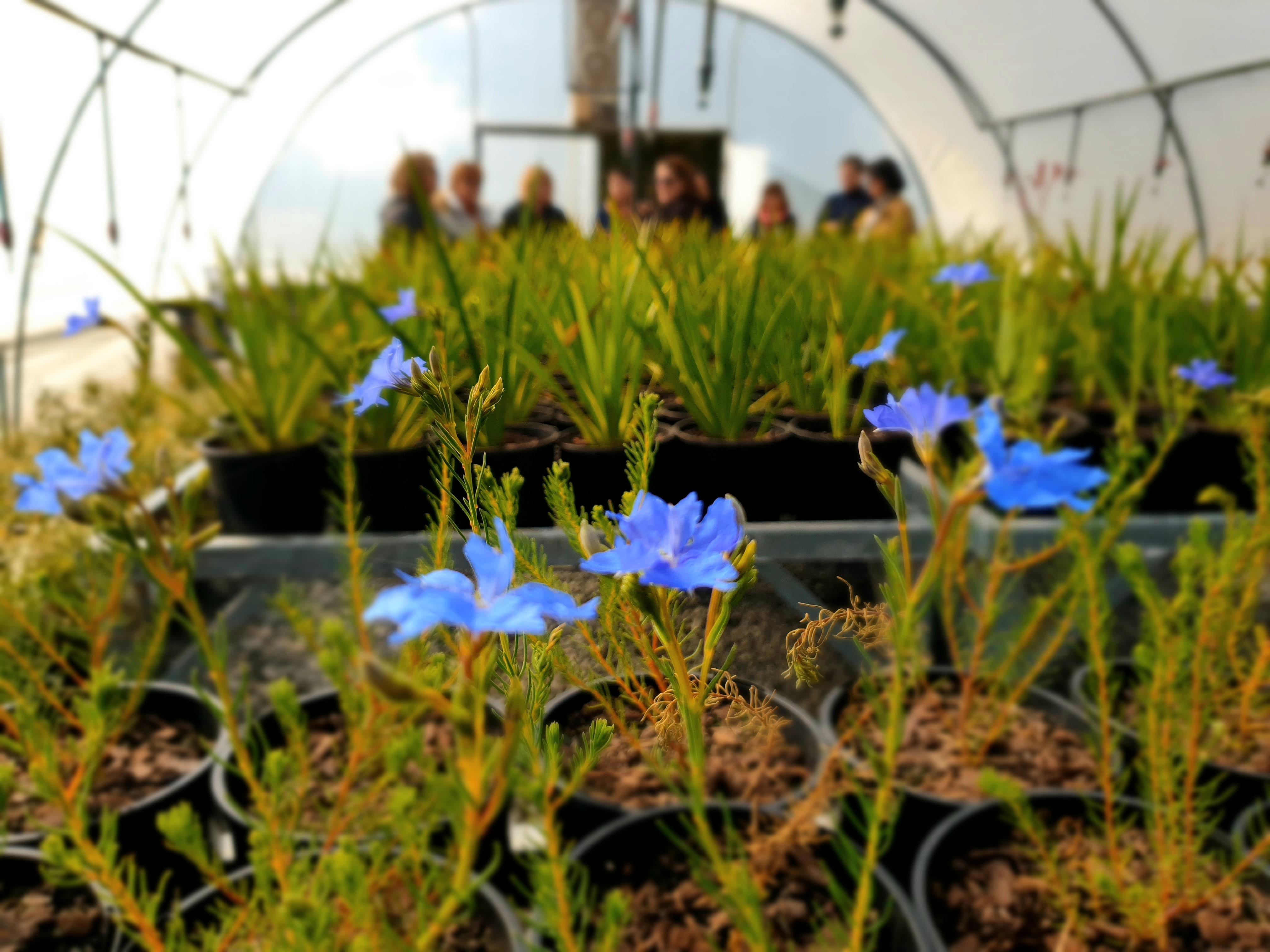 Jurlique VIP Tour & Spa