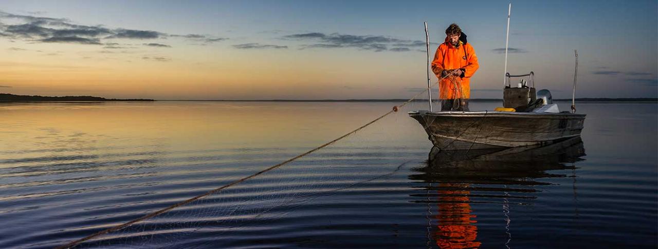 zz coorong seafood