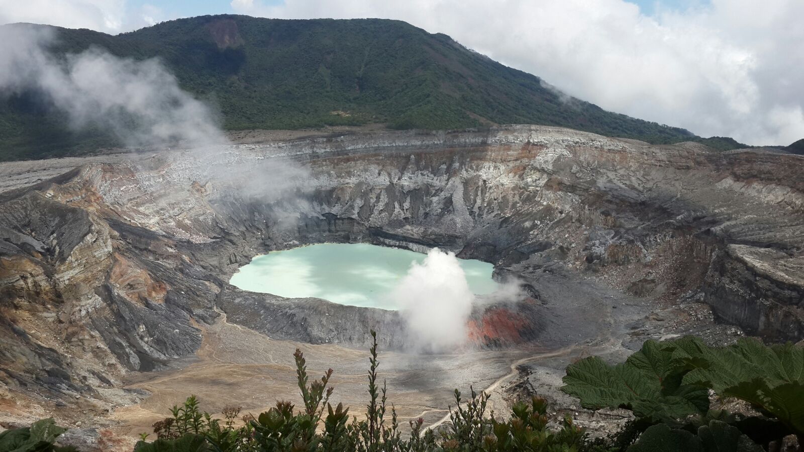 POAS VOLCANO NATIONAL PARK (HALF DAY)