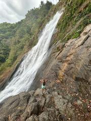 4-Hour ATV Jungle Adventure to Bijagual Waterfall