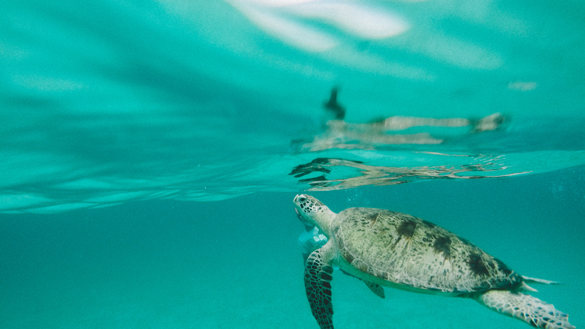 10-Day Philippines Tour from Manila to El Nido: Palawan and Port Barton