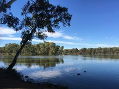 Mildura to Wentworth along the Murray river