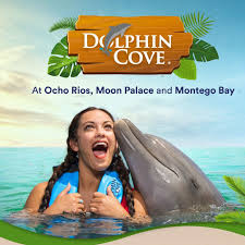 Dolphin Cove - Encounter Ocho