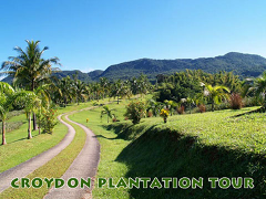 Croydon Plantation
