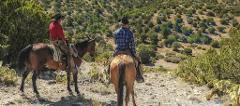1.5 Hour Sedona Horseback Ride - Quail Trail