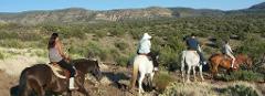 1 Hour Sedona Horseback Ride - Ridge Trail