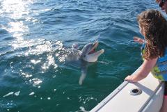 2 Hour Private Dolphin Tour