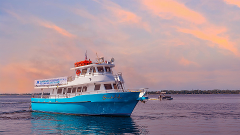 Sunset Dolphin Cruise