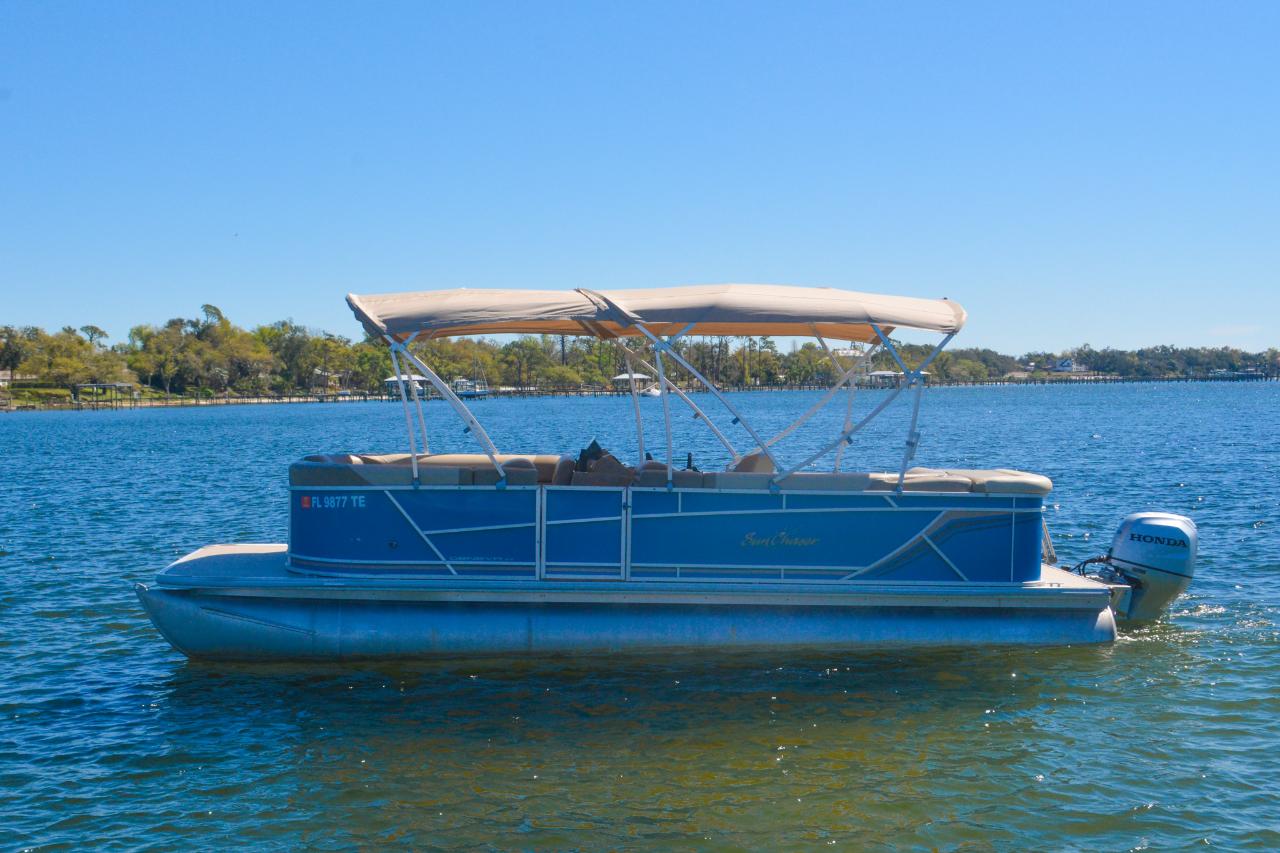 Deluxe Pontoon Boat - Full Day