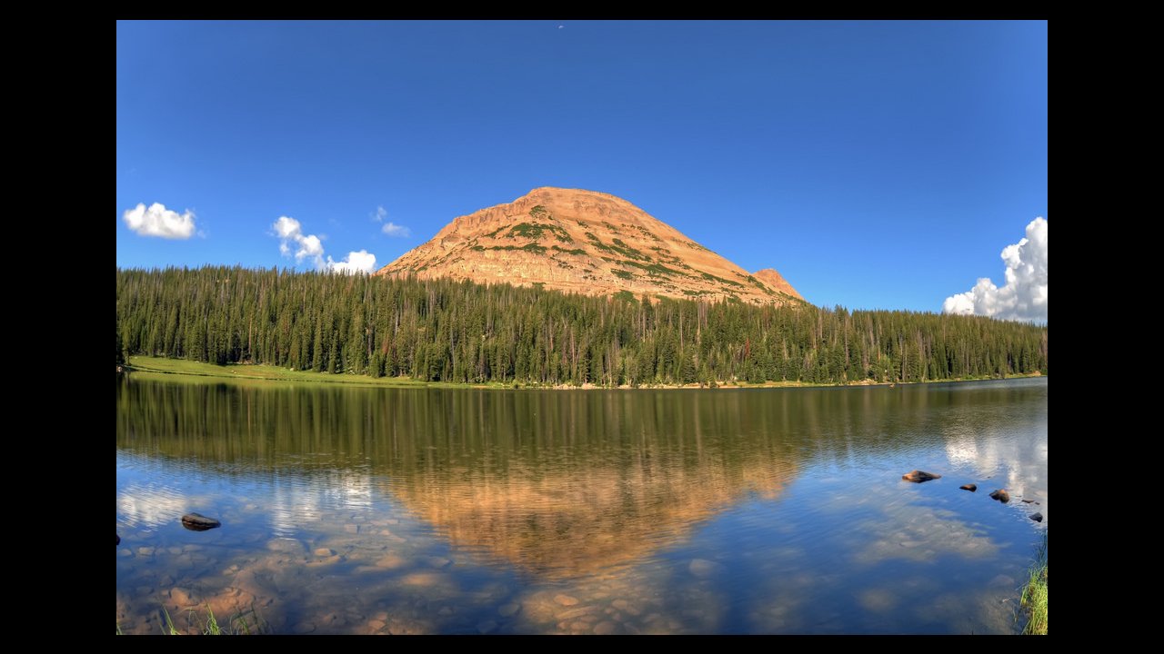 Utah Great Forest the Uintah Mountains