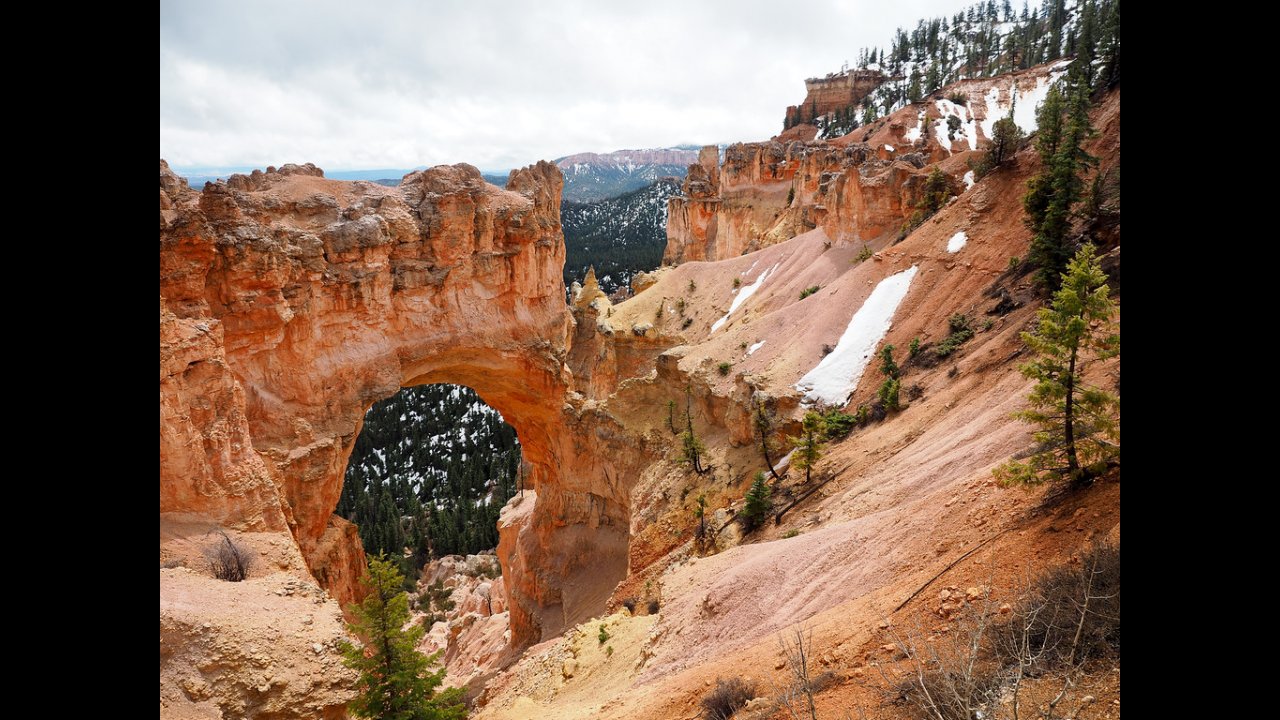 Salt Lake City Utah Big 5 National Parks Tour