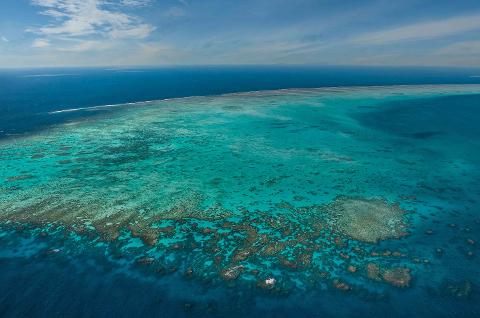 Reef Hopper | GSL Aviation scenic flight over the Great Barrier Reef, Cairns (1)