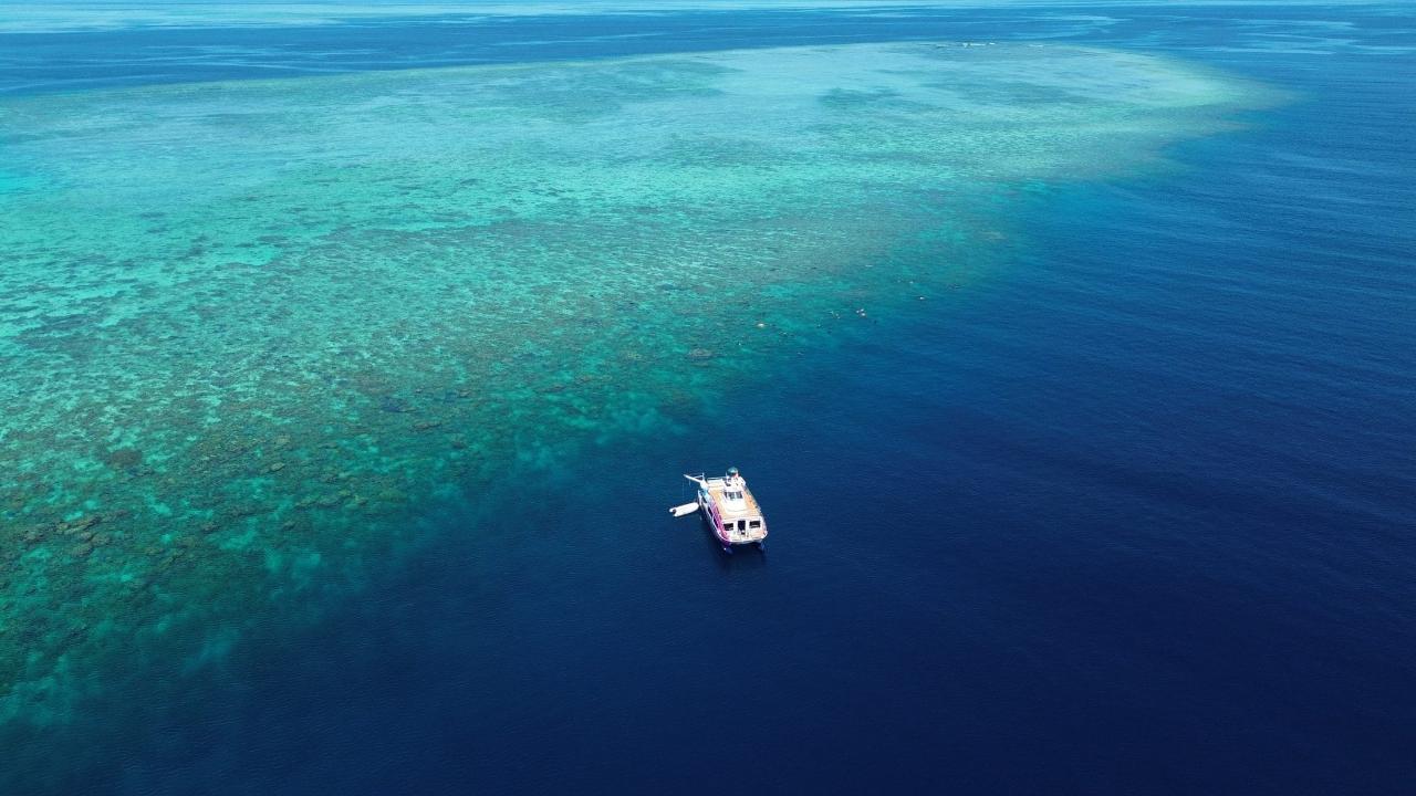 Fly & Snorkel