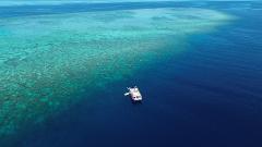 Fly & Snorkel