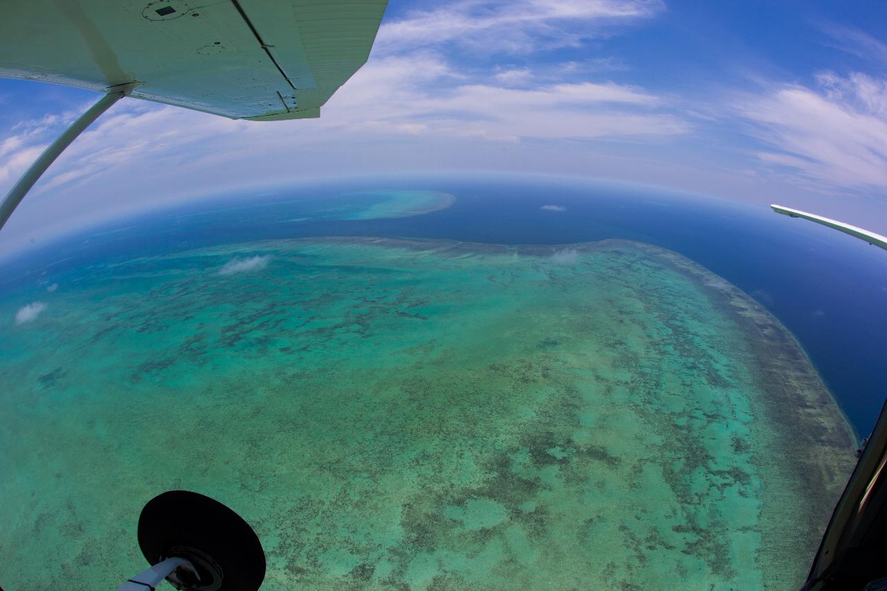 Reef & Port Douglas