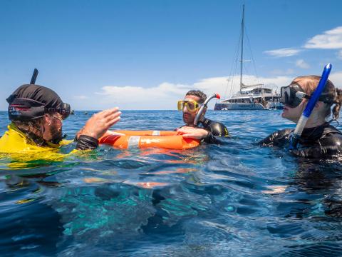 Fly & Sail Cairns Reef Package | GSL Aviation scenic flight over the Great Barrier Reef, Cairns (1)