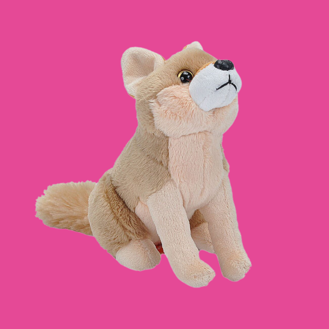 Pocketkins Eco Dingo 5" - Wild Republic