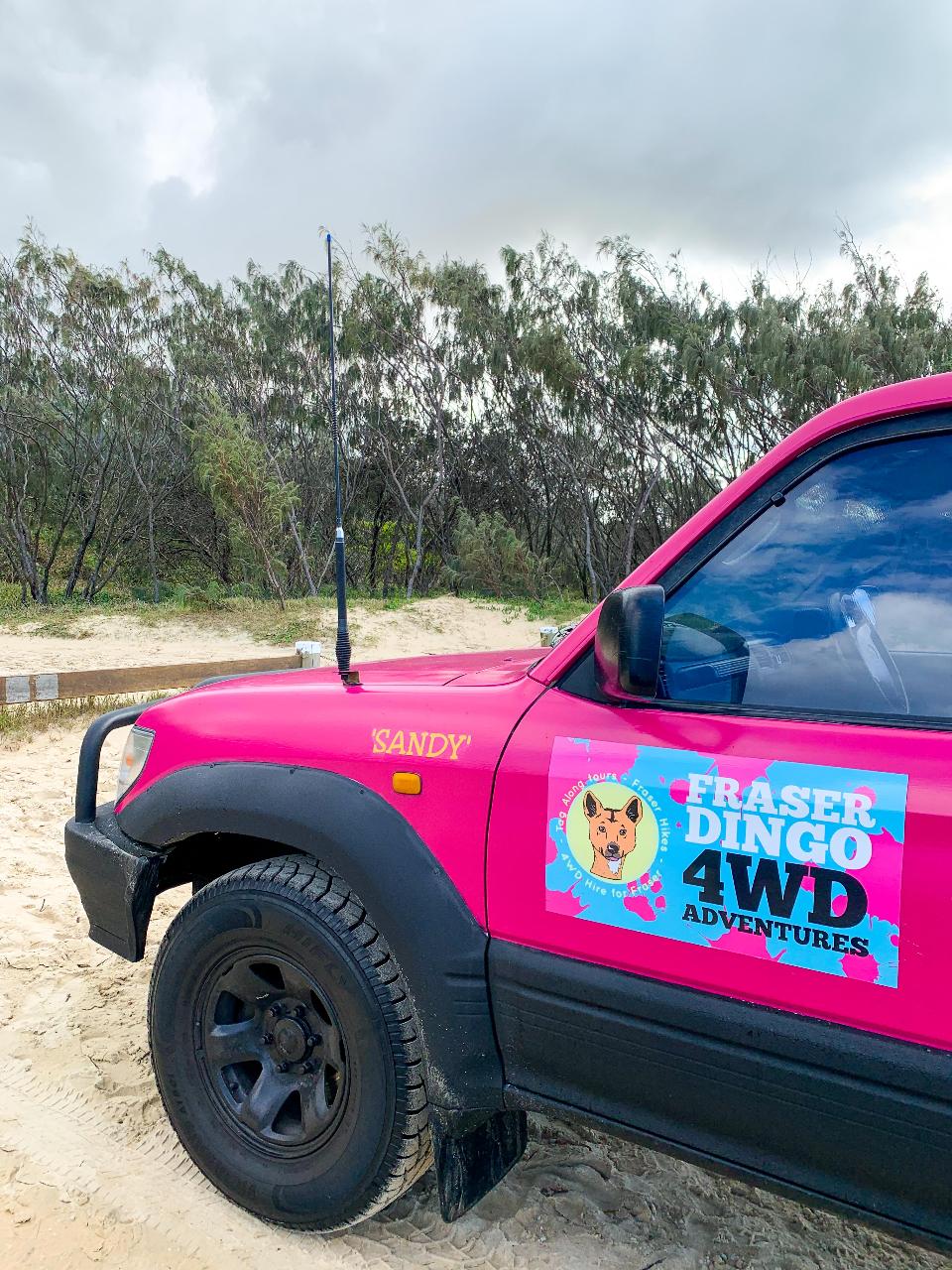 Fraser Dingo 4wd Hire - 2 Days on K'gari