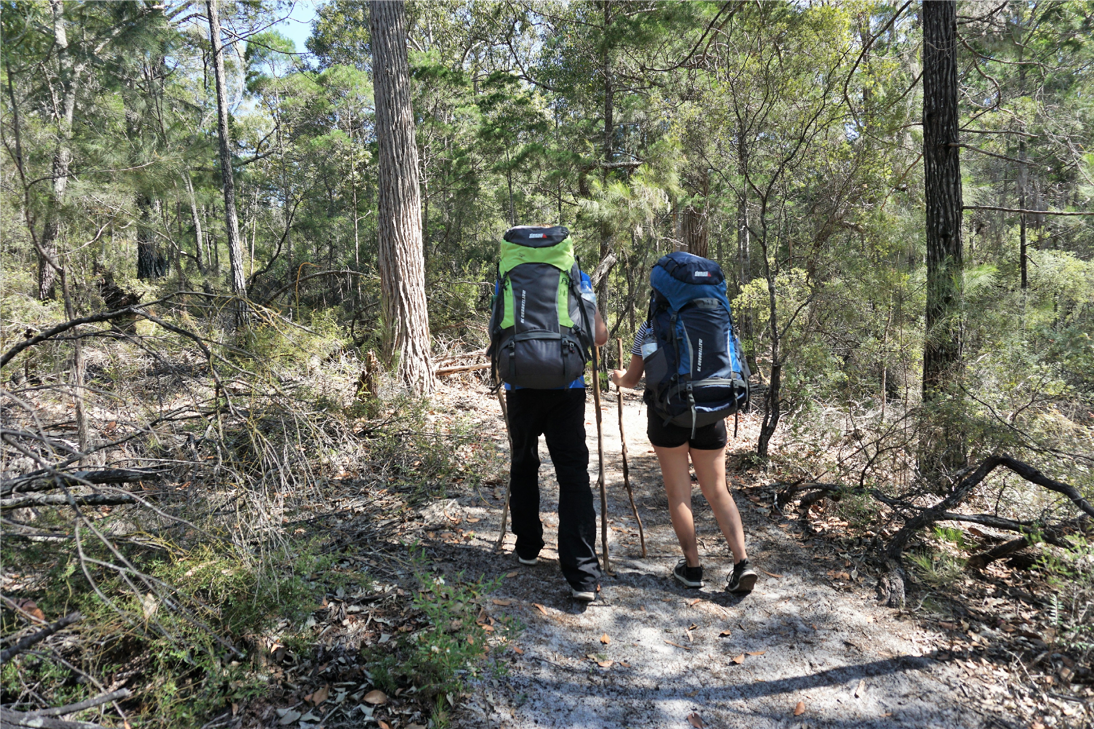 Adventure Hike: Valley of the Giants - 4 Days