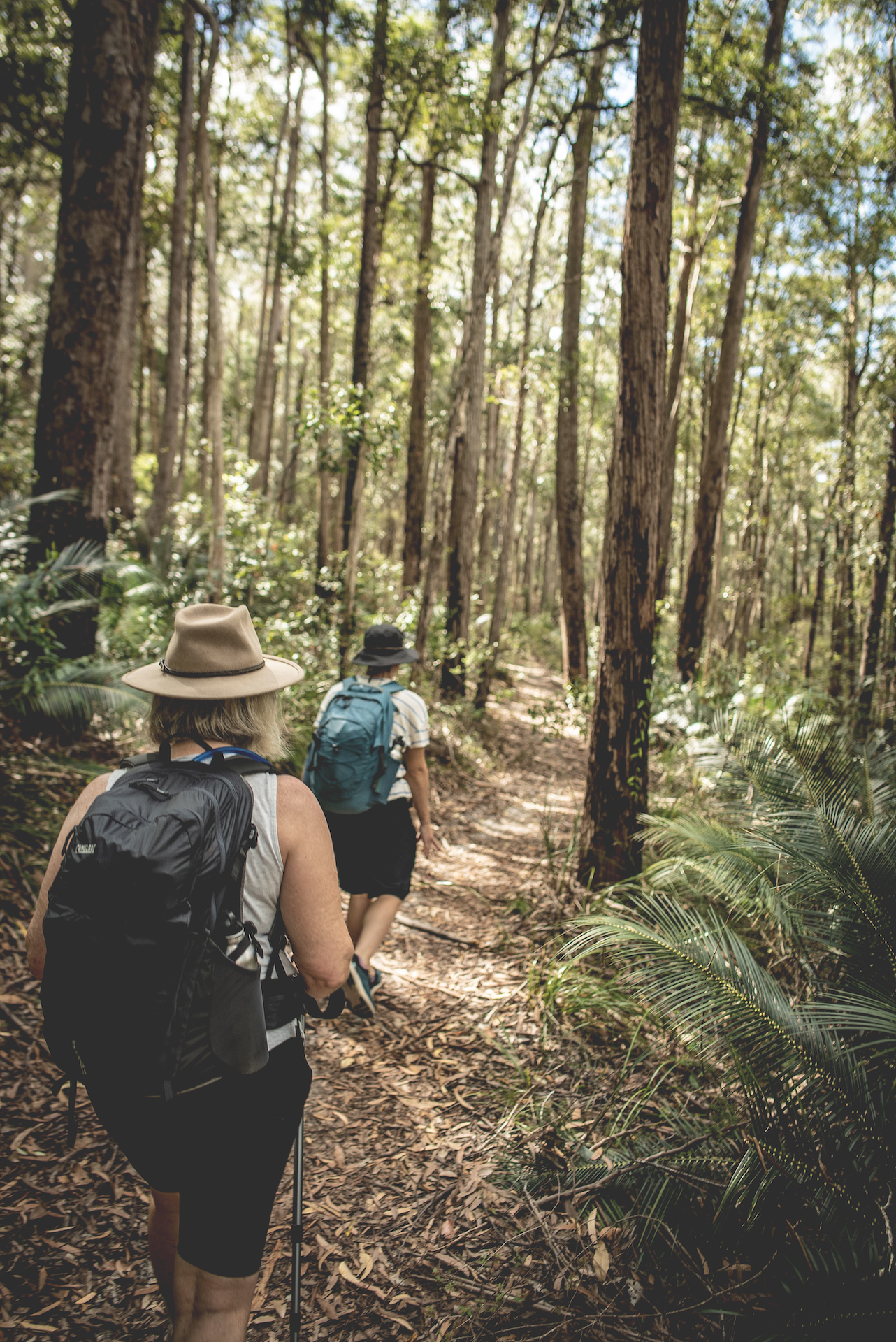 K'gari Wilderness Trail (2 Days)