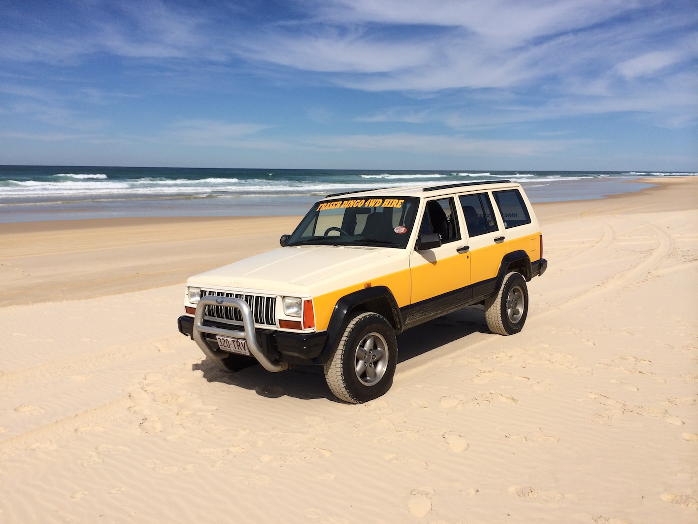 Fraser Island Spot a Dingo 1 Day Fraser Dingo 4wd Adventures