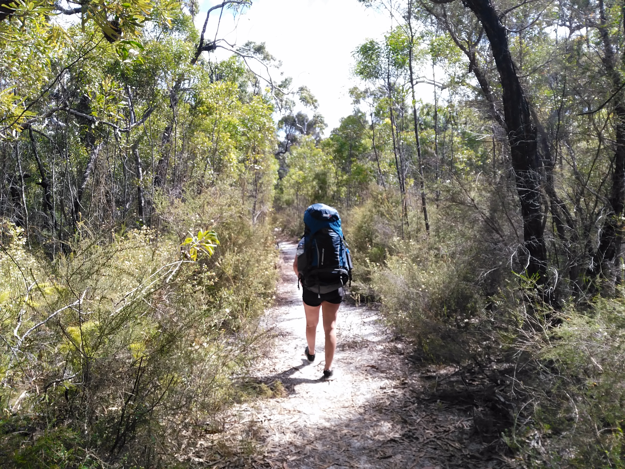 Adventure Hike: Lake McKenzie - 2 Days