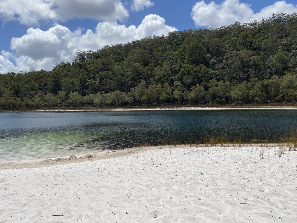 zBest of the Fraser Island Great Walk (3N/4D) Fraser Dingo 4wd