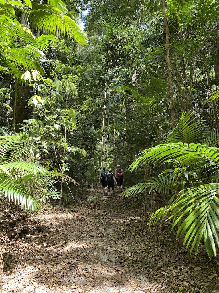 zBest of the Fraser Island Great Walk (3N/4D) - Fraser Dingo 4wd ...