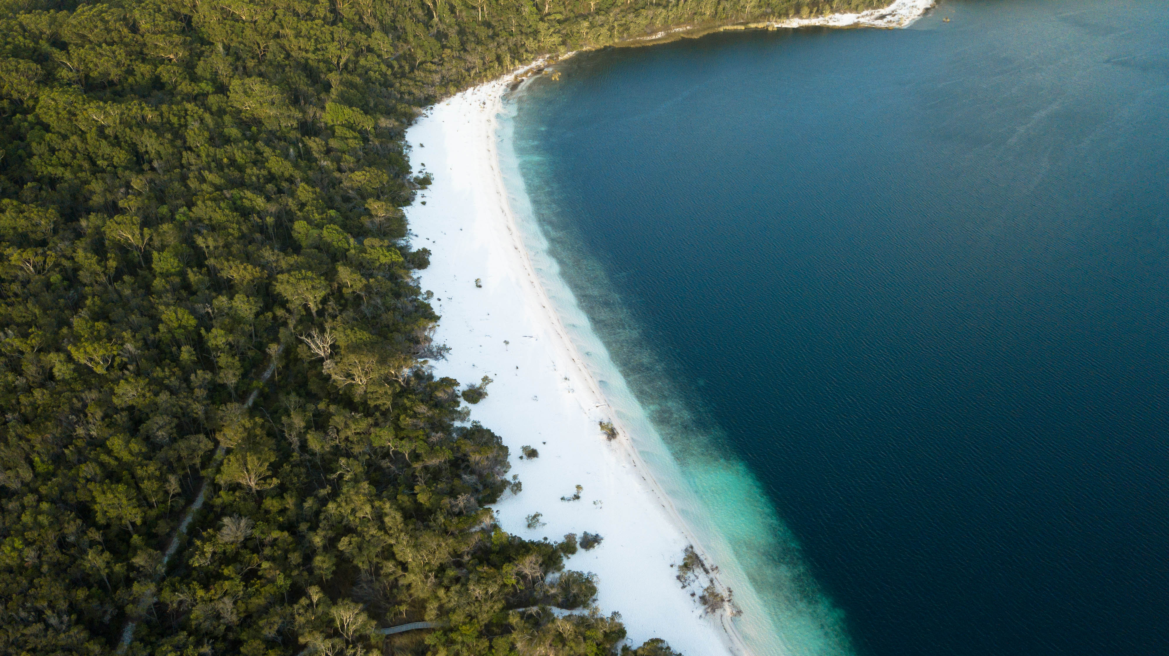 Adventure Hike: Valley of the Giants - 4 Days