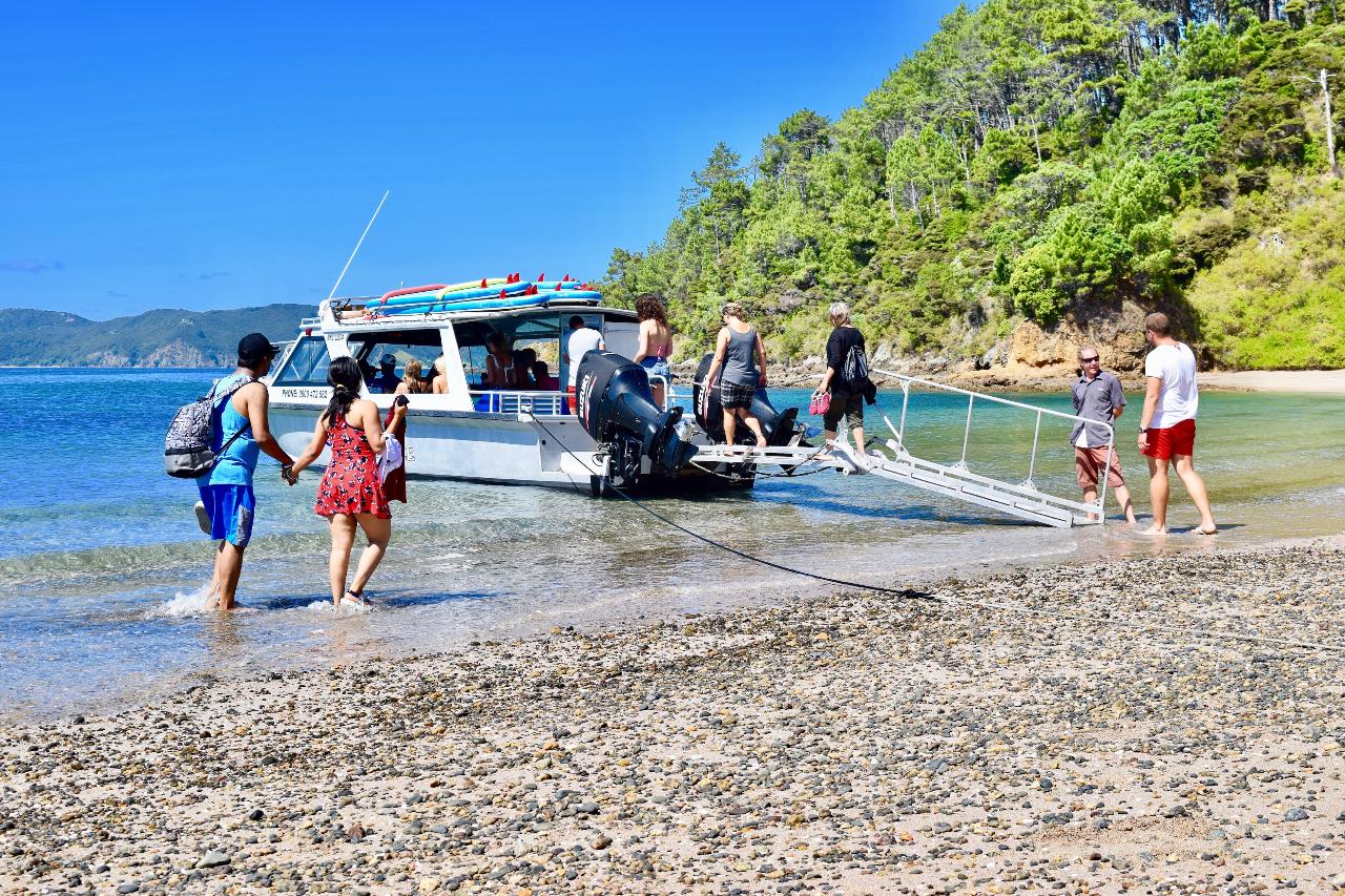 Bay of Islands Cruise & Island Tour - With Snorkelling, Paddleboarding, & 2 Island stopovers // 3.5 Hours