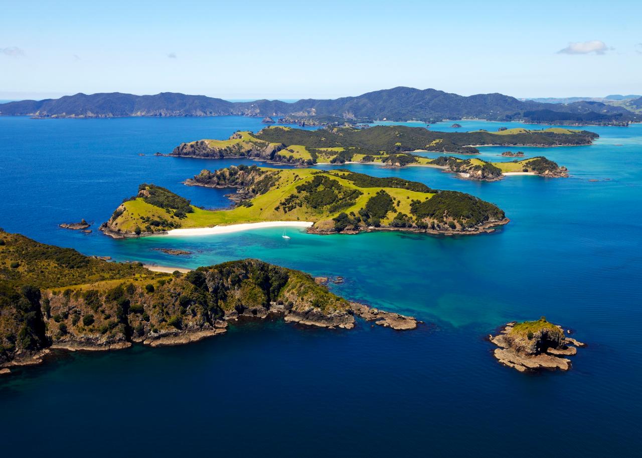 Highlights of the Bay - Bay of Islands Cruise & Island Tour // 3 hours