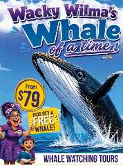 Wacky Wilma's Whale Tour