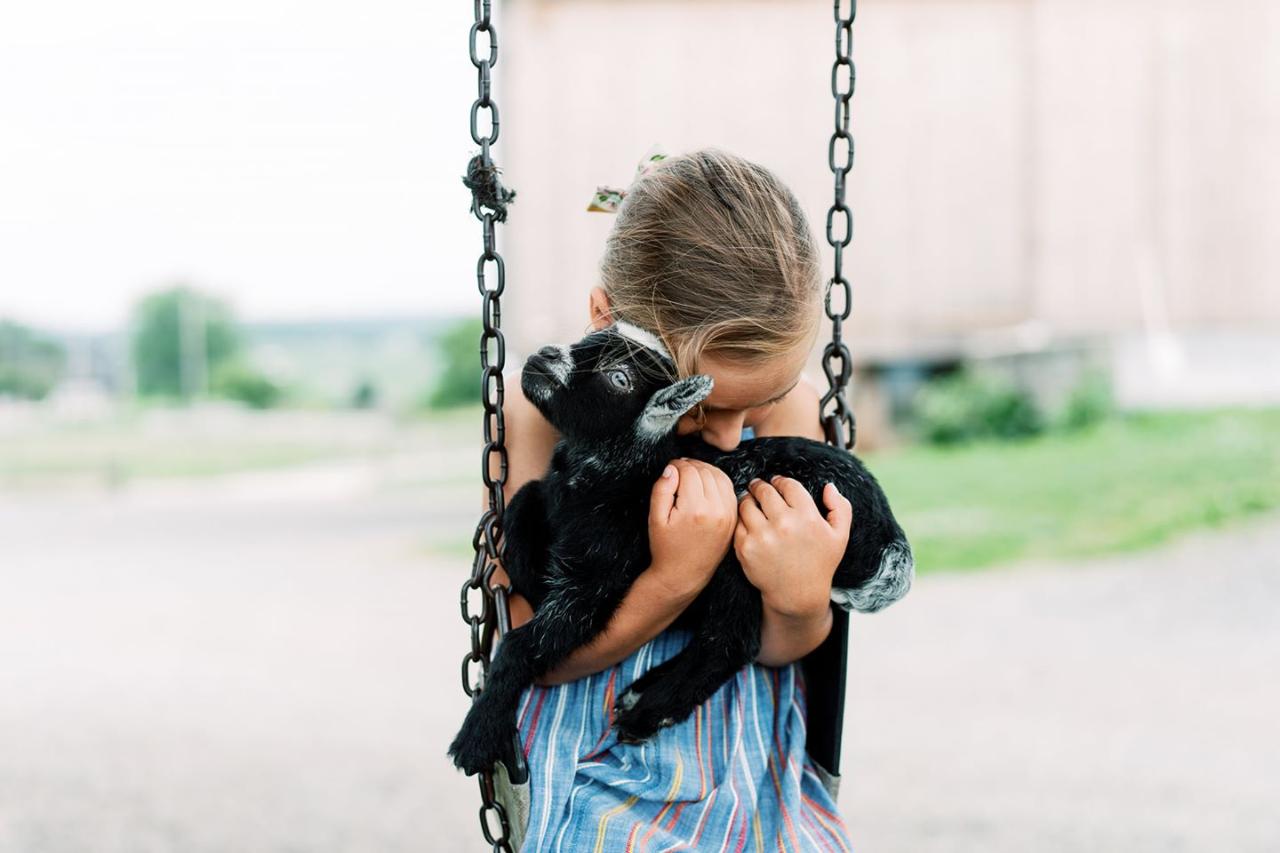Baby Goat Therapy (Private session)