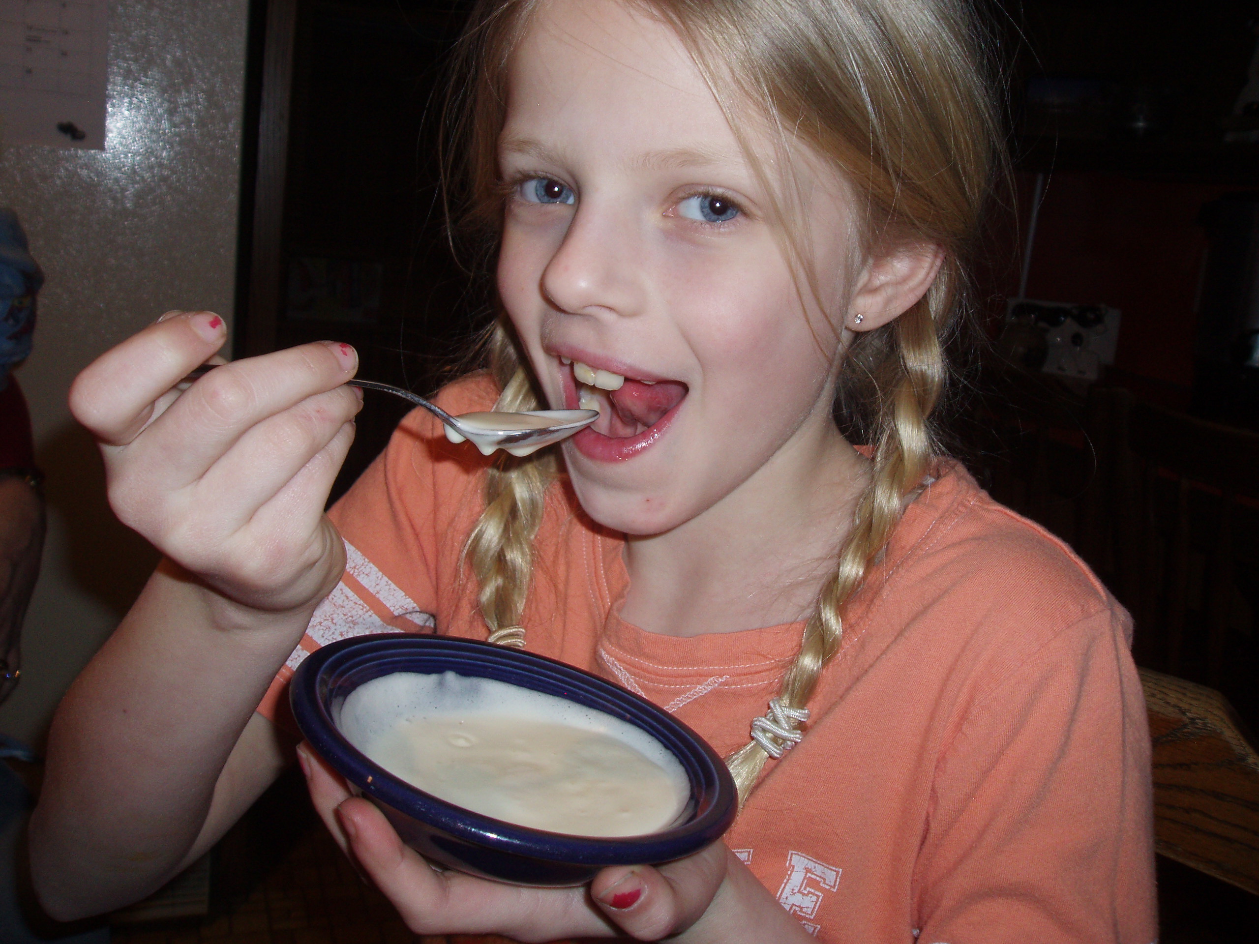 Homemade Ice Cream Tasting and Demo