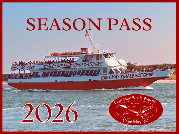 Double Season Pass 2026
