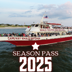 Single Season Pass 2025