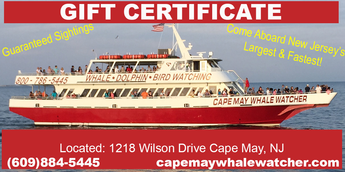 $50 Gift Certificate