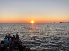 Sunset Dolphin Watch