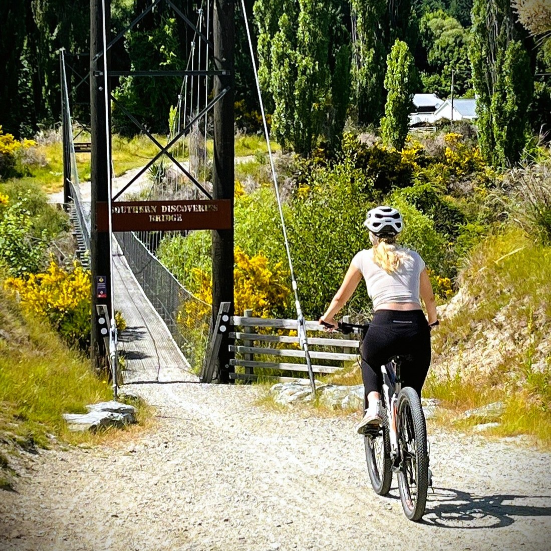 Private E-Bike & Wine Tour | Arrowtown & Gibbston