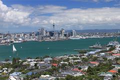 Auckland Private Tour including Airport Transfer