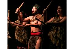 Private Auckland Maori Luxury Tour and Cultural Performance