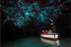 Auckland to Waitomo Caves Private Tour